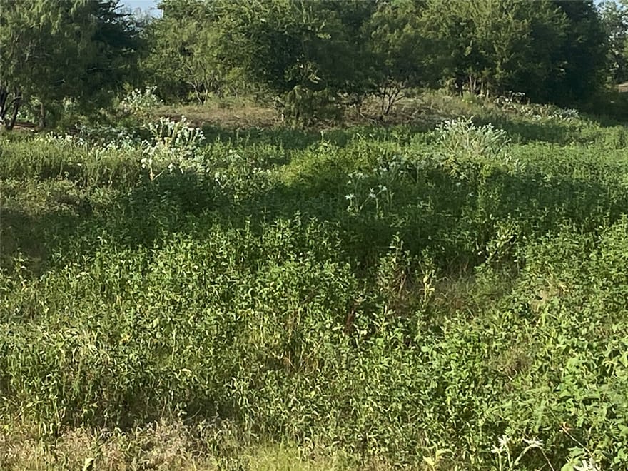 TBD County Road 3254, Mount Calm, Texas