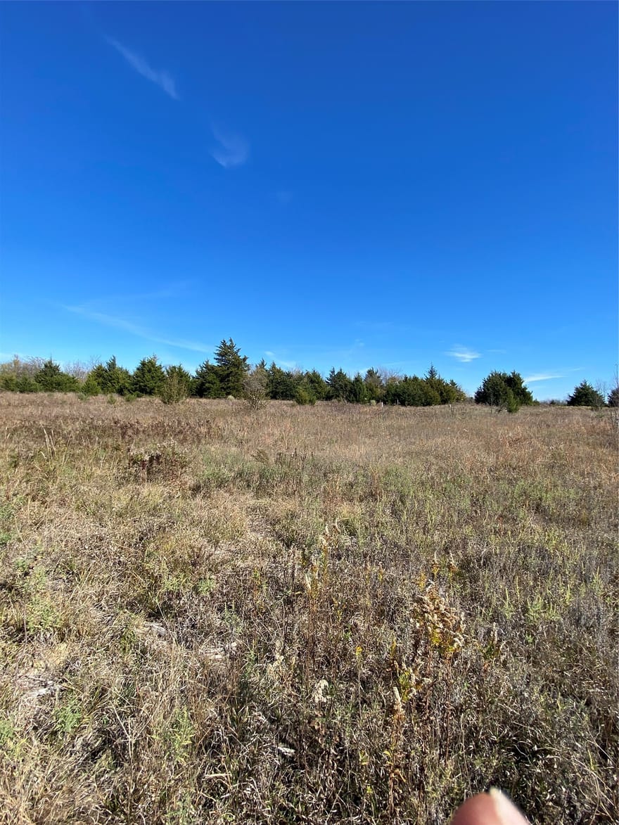 1604 Cr 3365, Ladonia, Texas