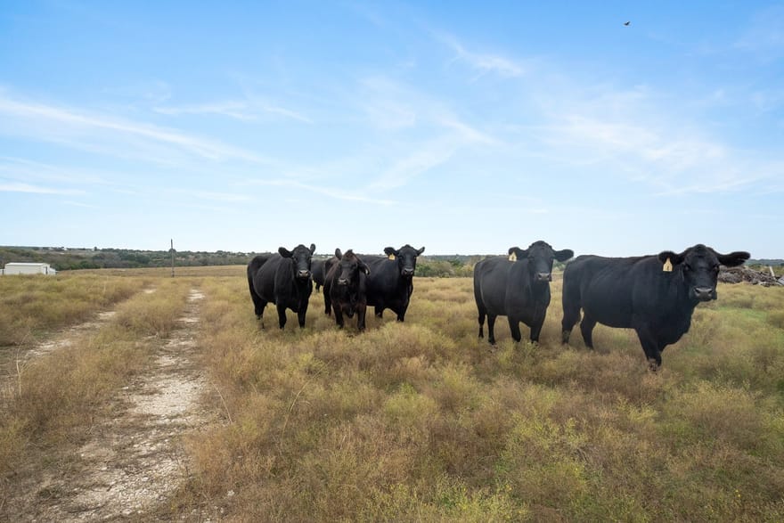 7307 Boswell Court, Lipan, Texas