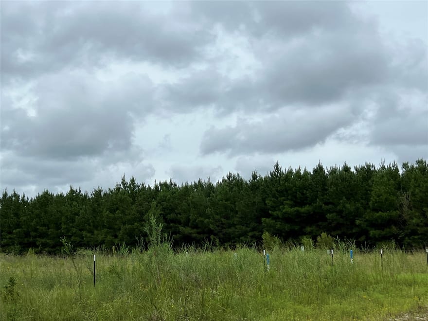 3 County Road 2235, Cleveland, Texas