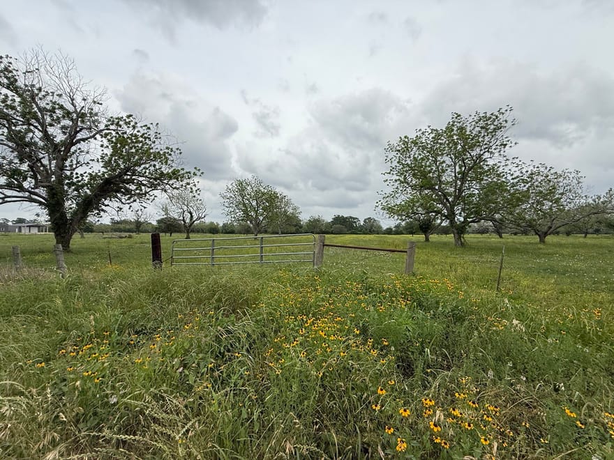 Orchard Drive, Wharton, Texas