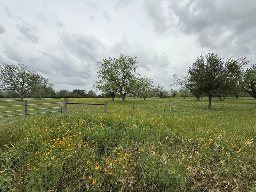 Orchard Drive, Wharton, Texas