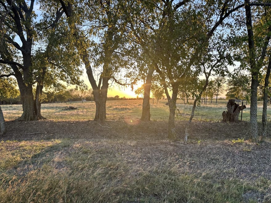690 Mcconnell Road, Gunter, Texas
