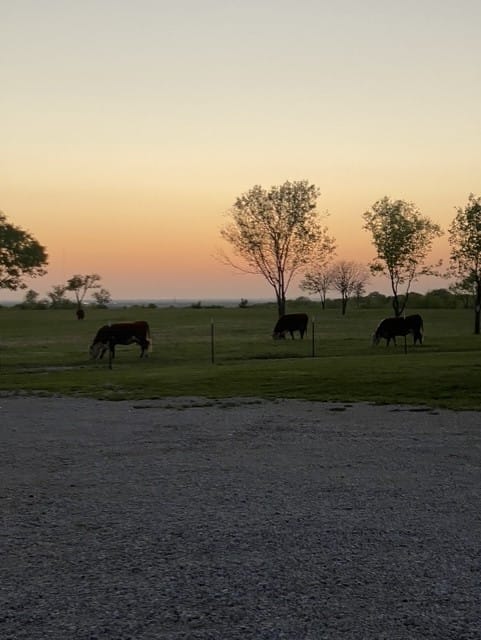 690 Mcconnell Road, Gunter, Texas