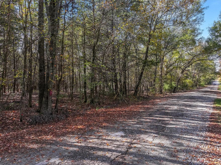 TBD Vz County Road 3117, Edgewood, Texas
