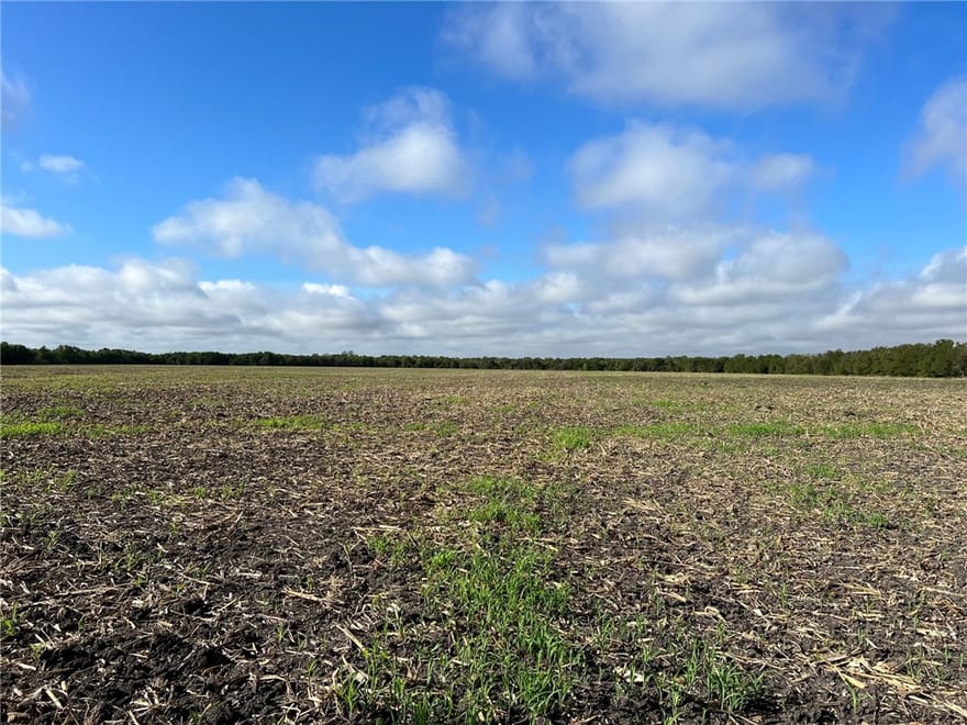 TBD Cr 117 Road, Rogers, Texas