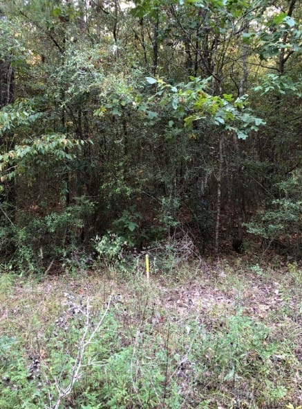 Co Rd 2746, Cleveland, Texas