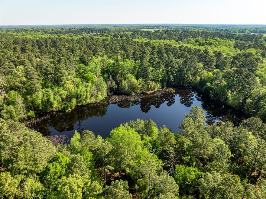 01 County Road 3322, Leesburg, Texas
