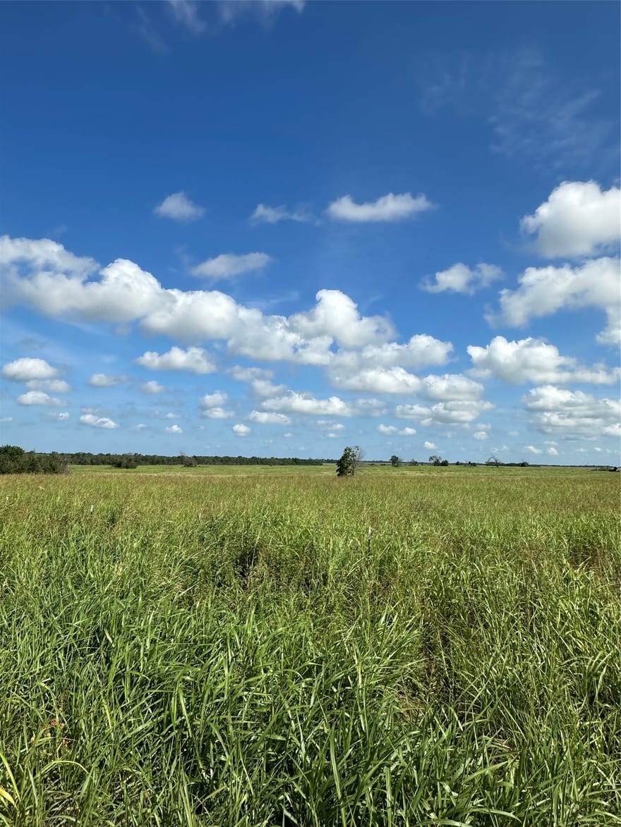 1490 County Road 3430, Honey Grove, Texas