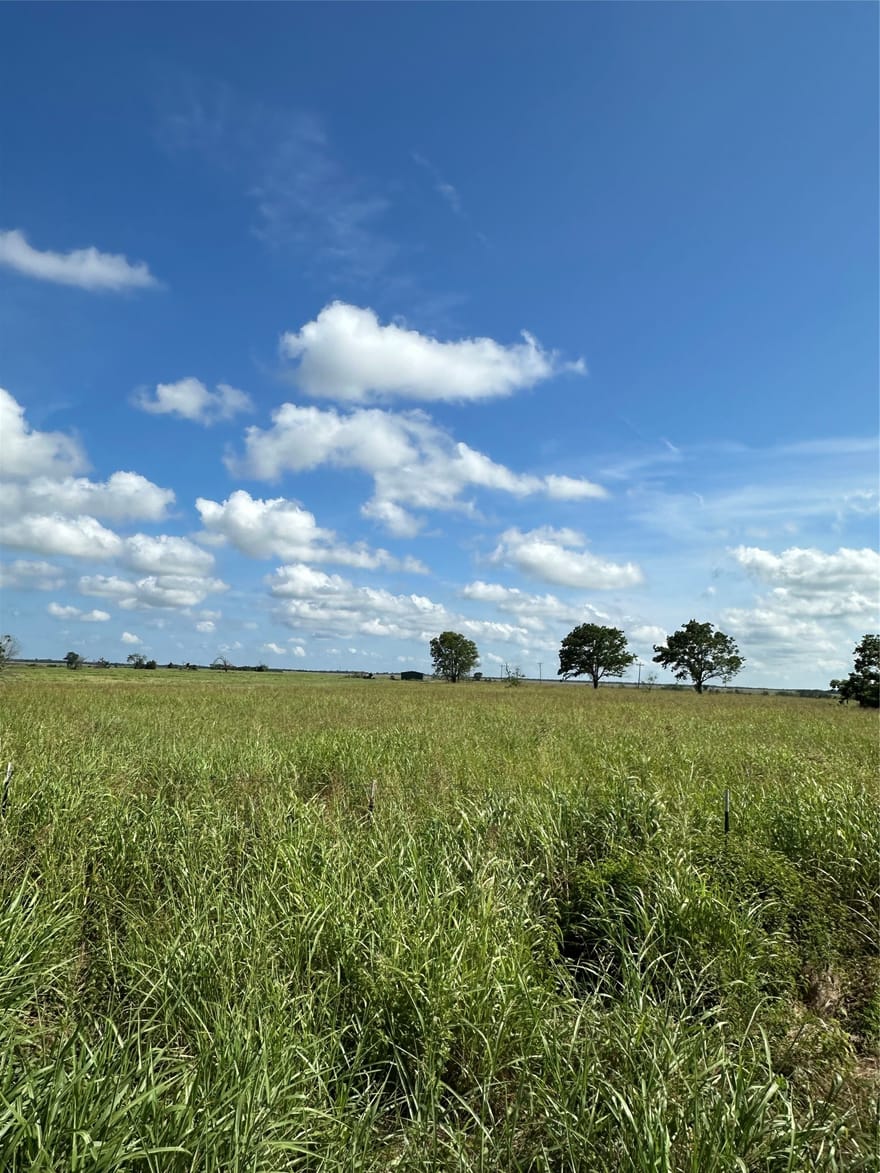 1490 County Road 3430, Honey Grove, Texas