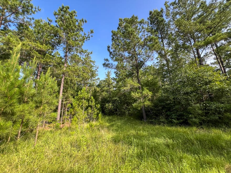 5 Fm 2989, Huntsville, Texas