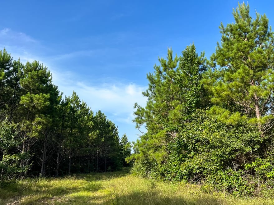 5 Fm 2989, Huntsville, Texas