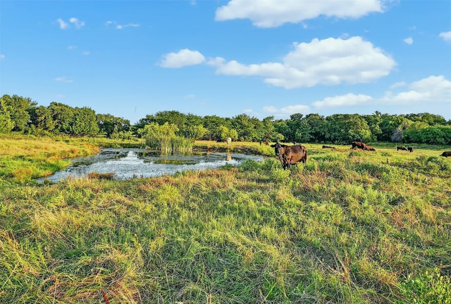 2340 Wright Road, Sherman, Texas