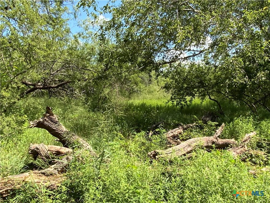 4 County Road 1144, Sinton, Texas
