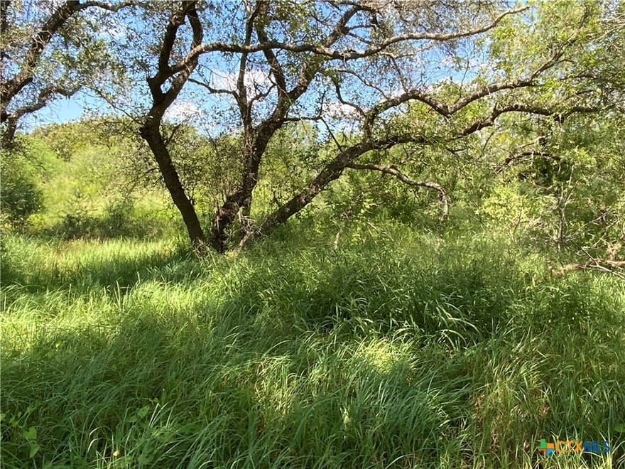 7 County Road 1144, Sinton, Texas