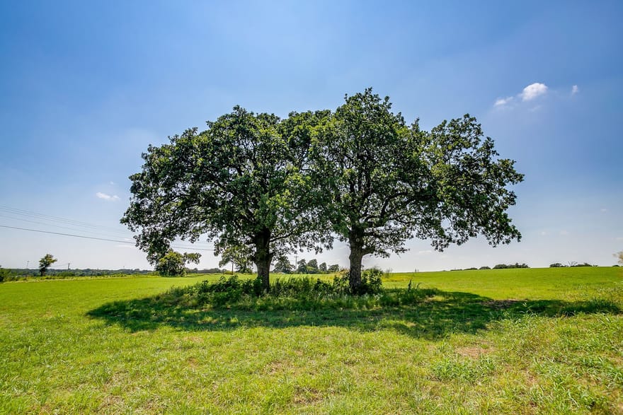 601 Cr-805, Keene, Texas