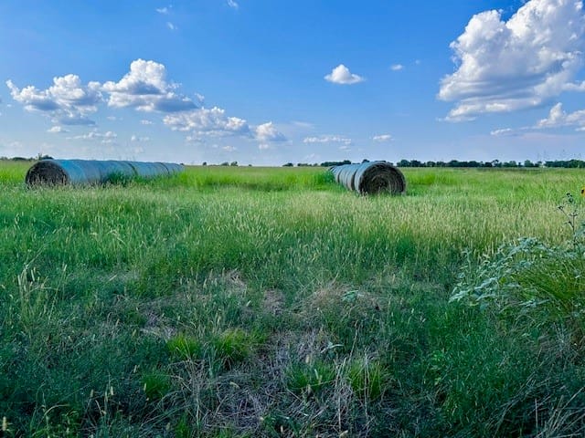 TBD 19.933AC Tx-11, Bailey, Texas