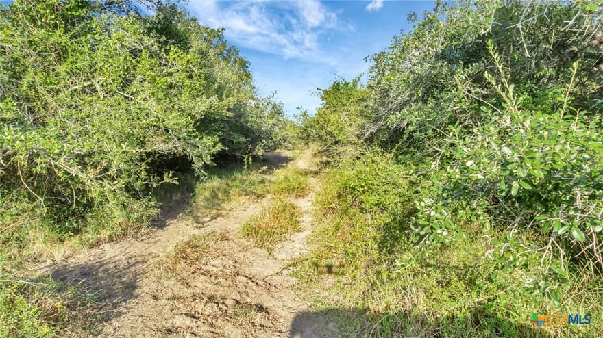 TBD Private Road 4620, Francitas, Texas