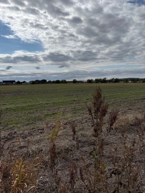 TBD Fm 1750 Road, Abilene, Texas