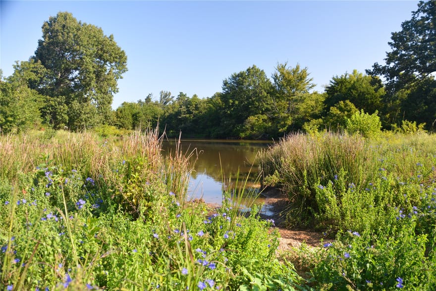 TBD Vz County Road 1820, Grand Saline, Texas