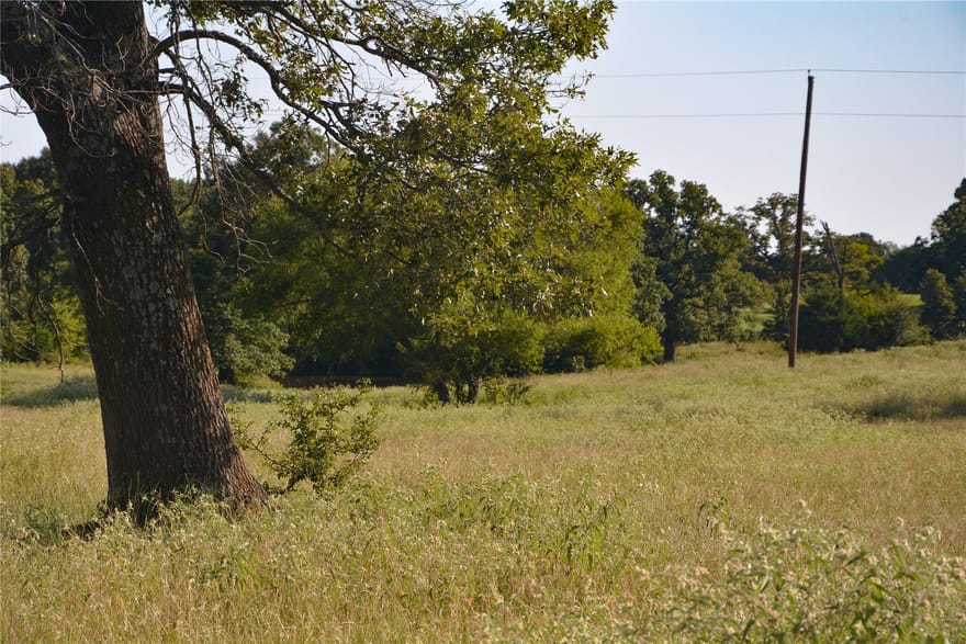 TBD Vz County Road 1821, Grand Saline, Texas