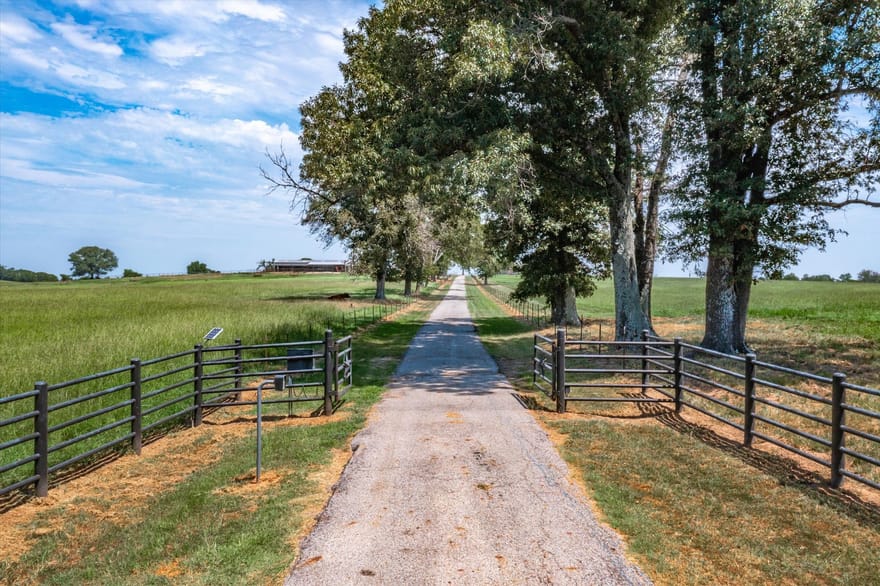 9208 Fm 17 89 Acres, Grand Saline, Texas