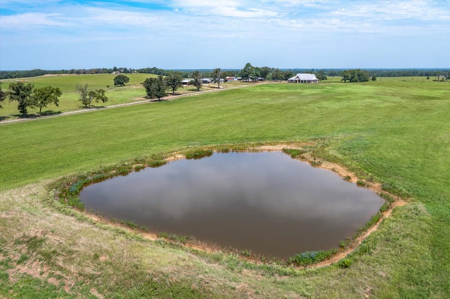 9208 Fm 17 89 Acres, Grand Saline, Texas