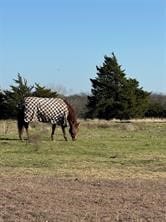 102 Red Maple Road, Gunter, Texas