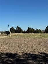 102 Red Maple Road, Gunter, Texas