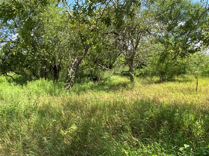 14135 County Road 1144, Sinton, Texas