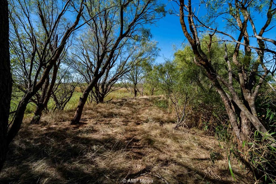 1504 Cr 423, Rule, Texas