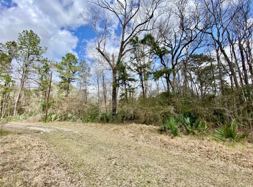 Puppy Lane, Crosby, Texas