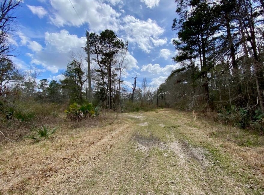 Puppy Lane, Crosby, Texas