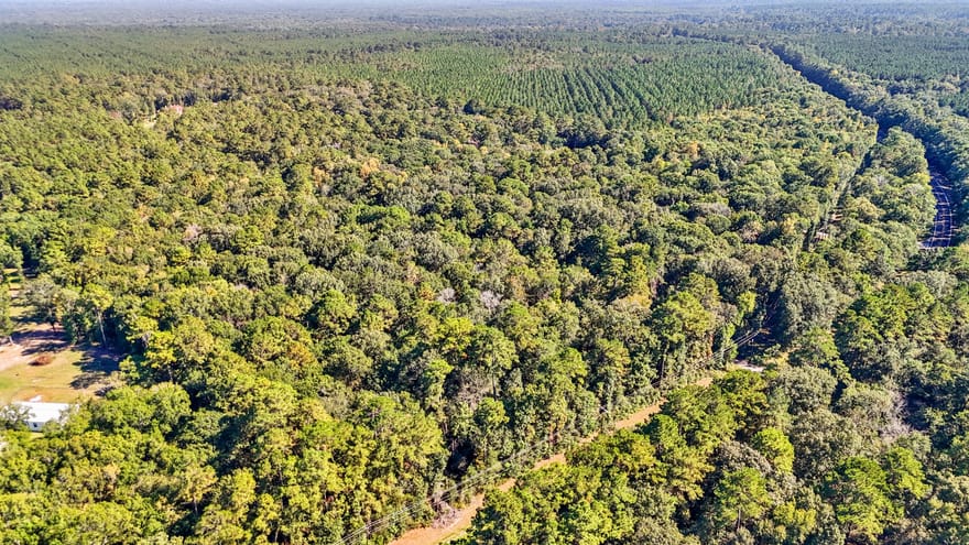 Simmons Bottom Road, Dayton, Texas