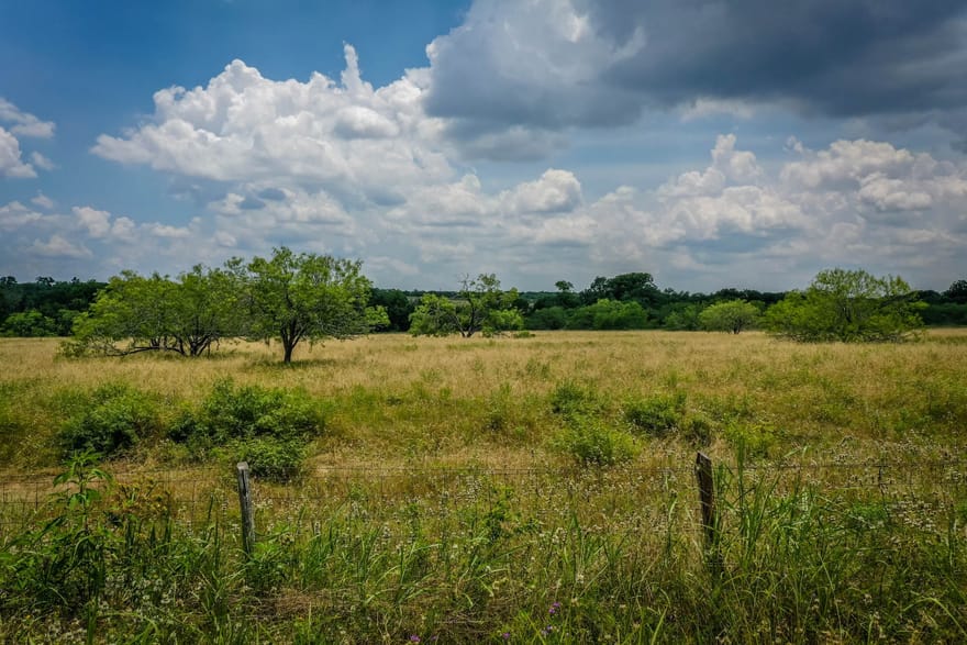 County Road 447, Waelder, Texas