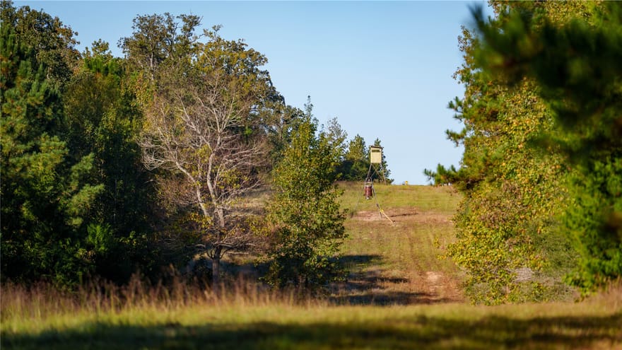15383 County Road 236, Oakwood, Texas