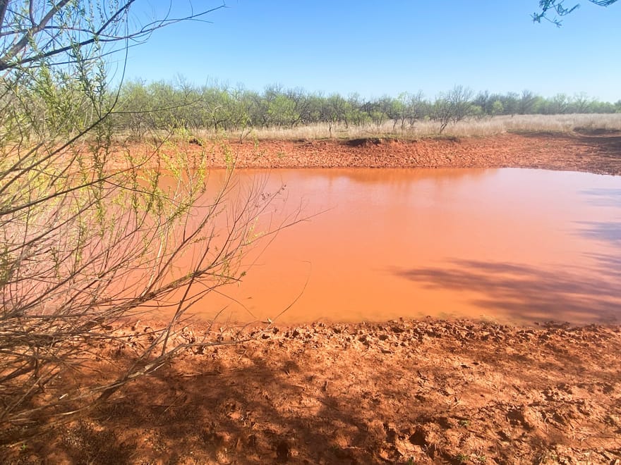 TBD 80 Acres Cr 150, Tuscola, Texas