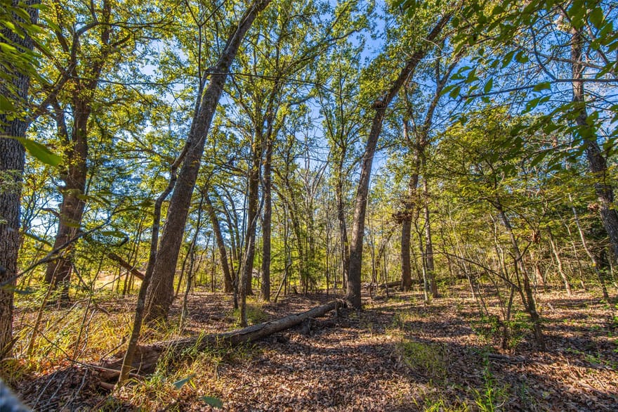 Anderson County Road 163, Elkhart, Texas