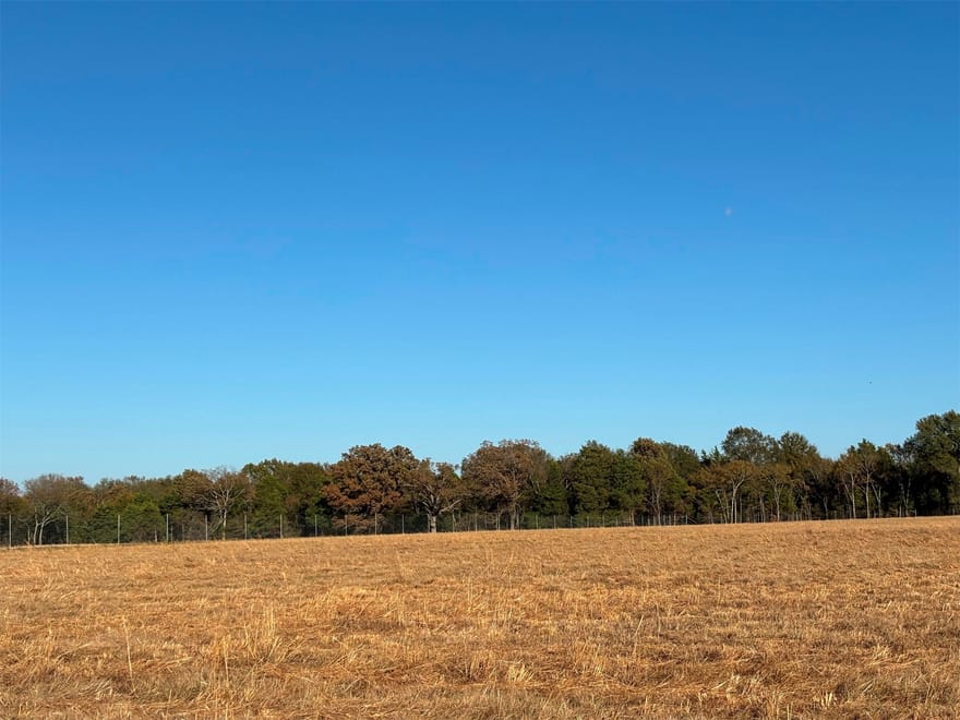 Fm 1653, Ben Wheeler, Texas