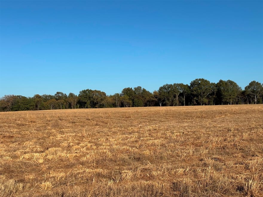 Fm 1653, Ben Wheeler, Texas
