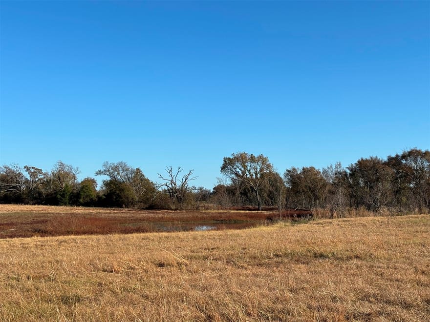 Fm 1653, Ben Wheeler, Texas