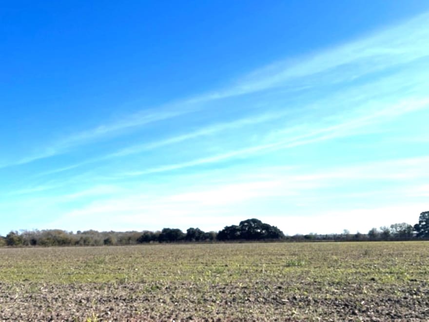 28 Acres Shaws Bend Road, Columbus, Texas