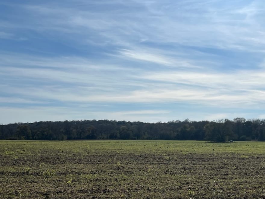 28 Acres Shaws Bend Road, Columbus, Texas