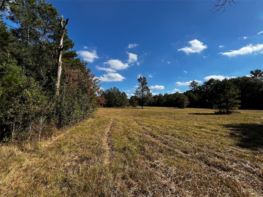 County Road 2314, Dayton, Texas