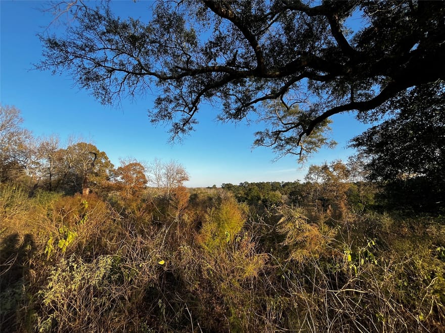 231 County Road 2190, Cleveland, Texas