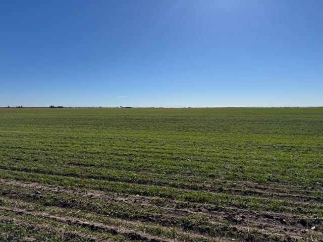 TBD Hwy 351 & Mesquite Ln, Abilene, Texas