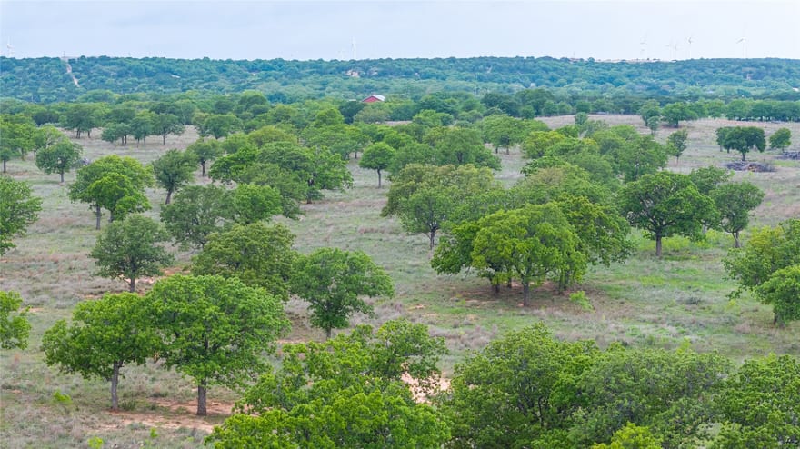 1034 County Road 207, Ovalo, Texas