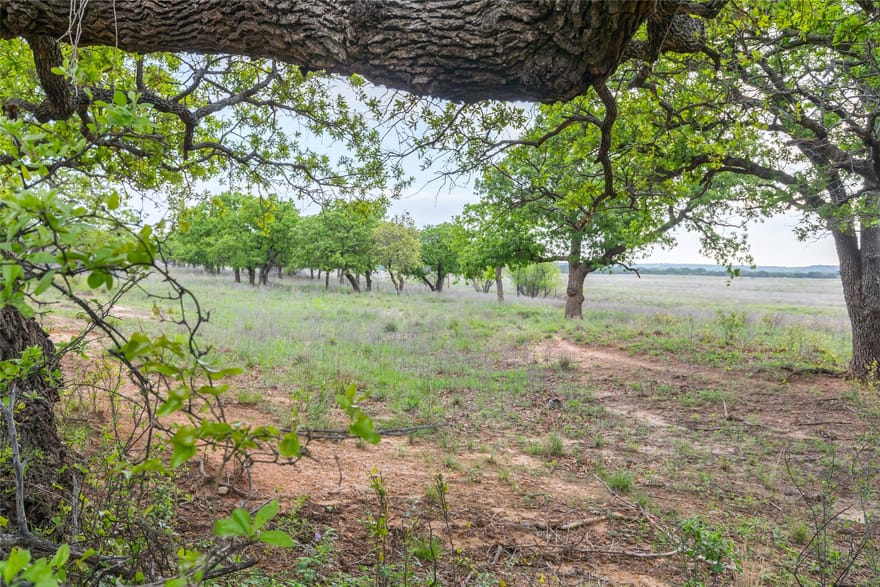 1034 County Road 207, Ovalo, Texas
