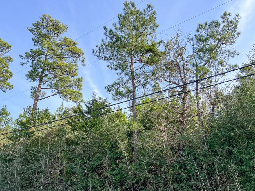 Fresenius Rd, Silsbee, Texas