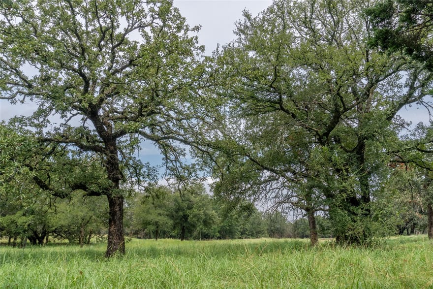 4750 Coleman Ranch Road, Tolar, Texas